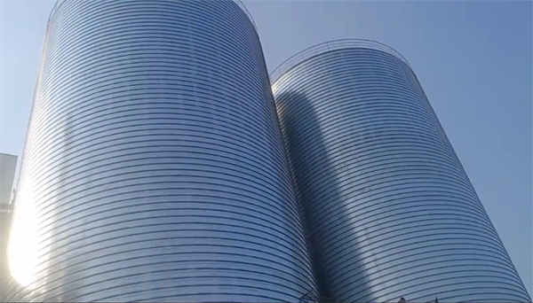 新晃2座混凝土高架卷板仓